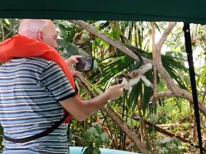 Isla de Los Monos - Persona Mono 600x450